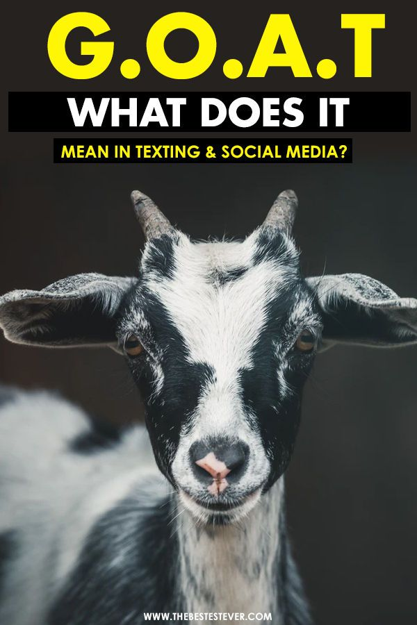 What Does GOAT Mean in Slang? Meaning, Examples, and How to Use It