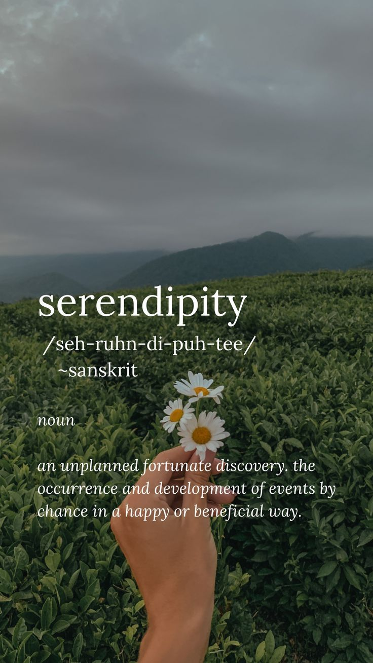 What Does “Serendipity” Mean? A Simple Guide to This Beautiful Word